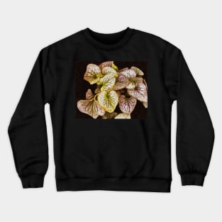 Stocksom Stocksom Leaves 14 Crewneck Sweatshirt